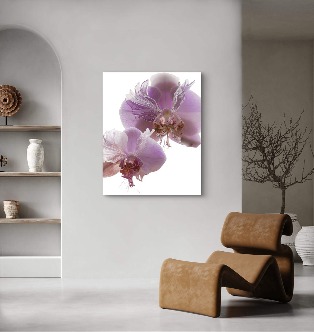 Orchid Duo